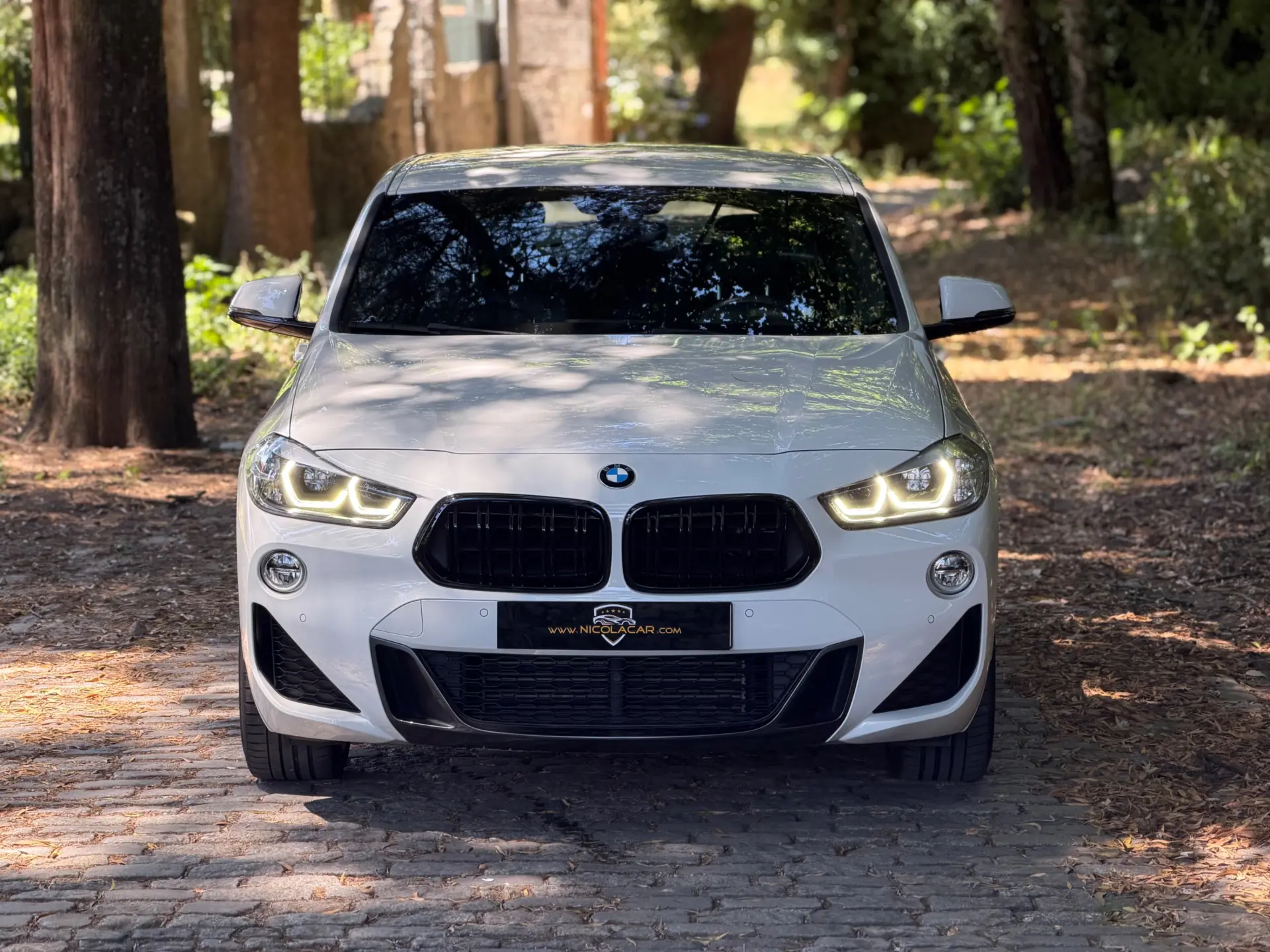 BMW X2 16 d sDrive Auto X Pack M 3