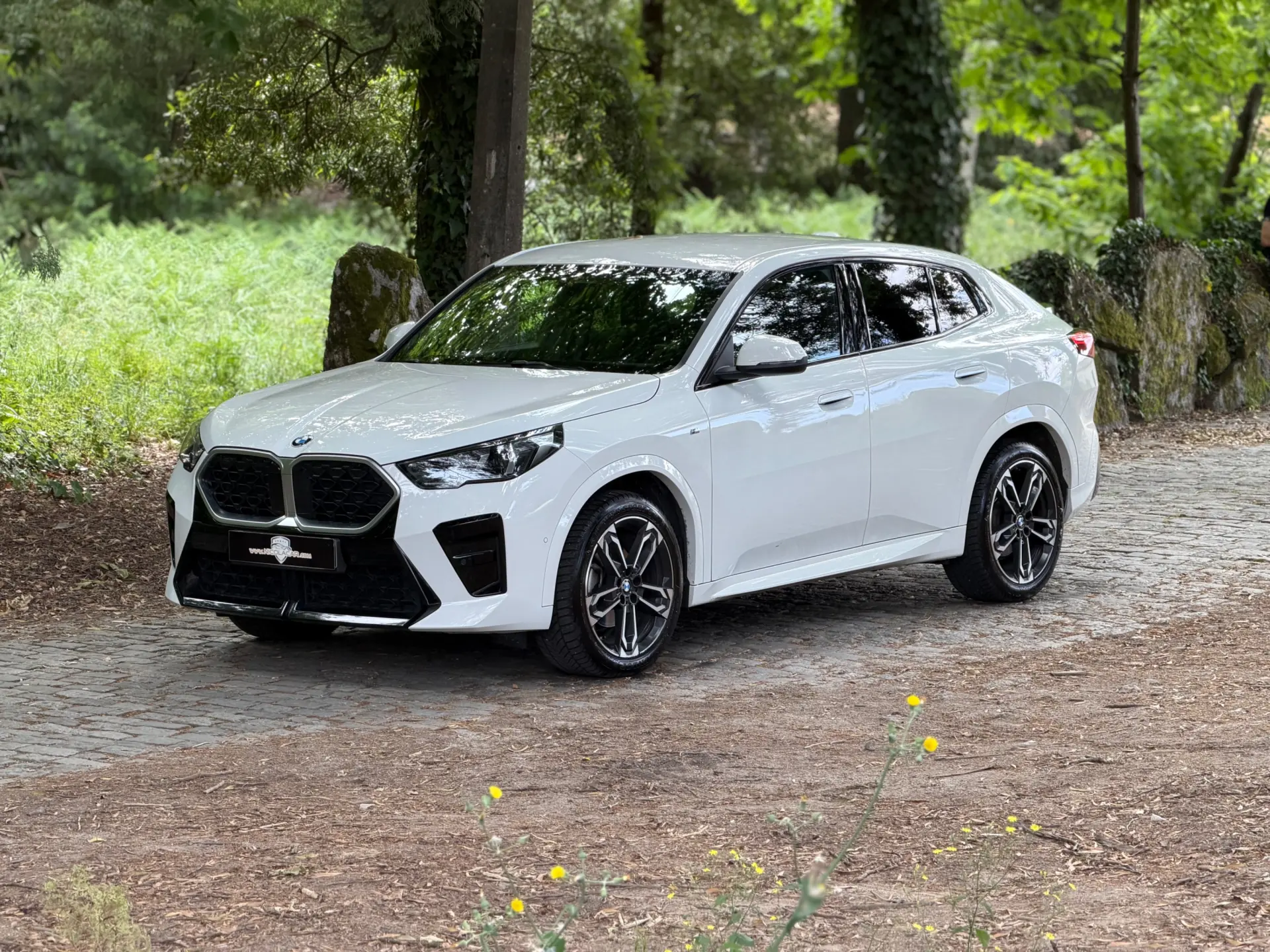 BMW X2 18 d sDrive Auto Pack M 4