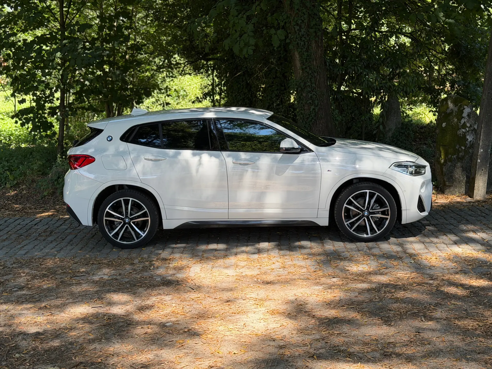 BMW X2 16 d sDrive Auto X Pack M 8