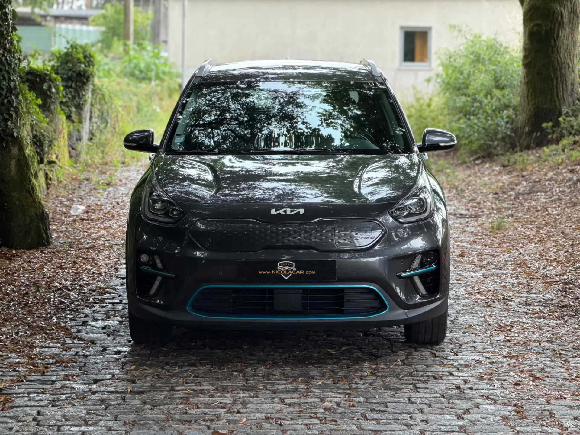 Kia e-Niro 64kWh 39