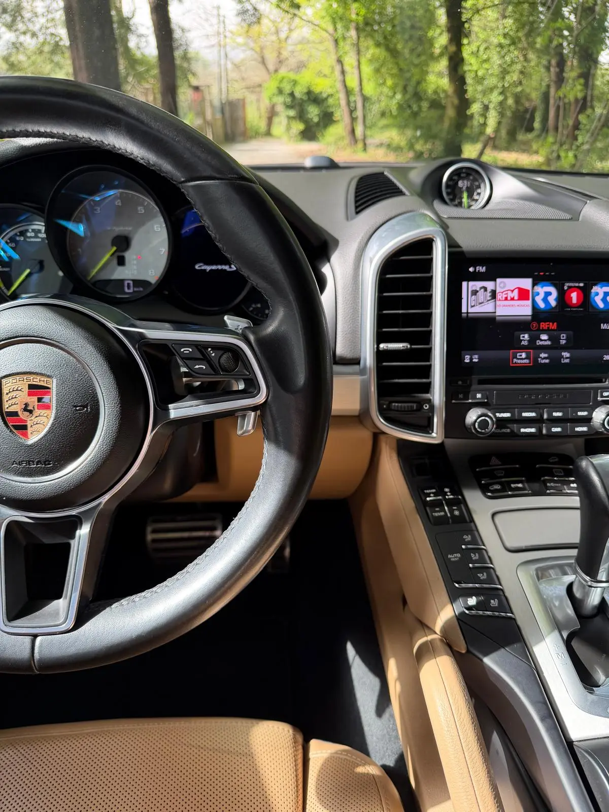 Porsche Cayenne S E-Hybrid Platinum Edition 13