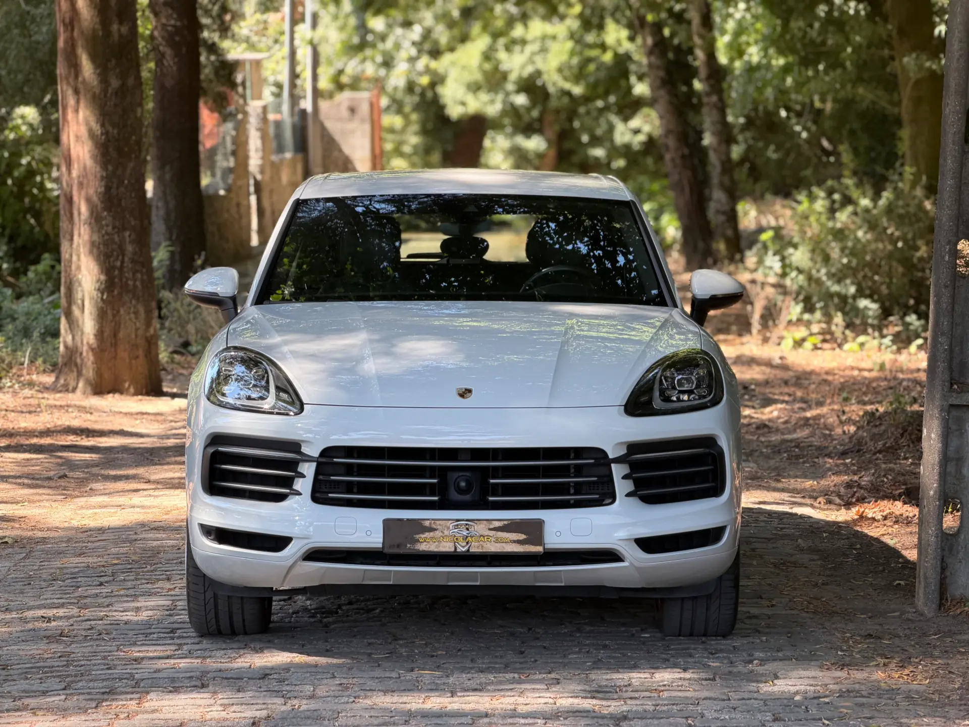 Porsche Cayenne E-Hybrid 3