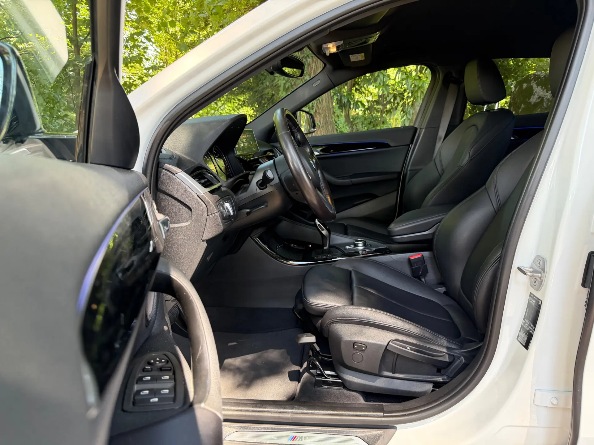 BMW X2 16 d sDrive Auto X Pack M 38