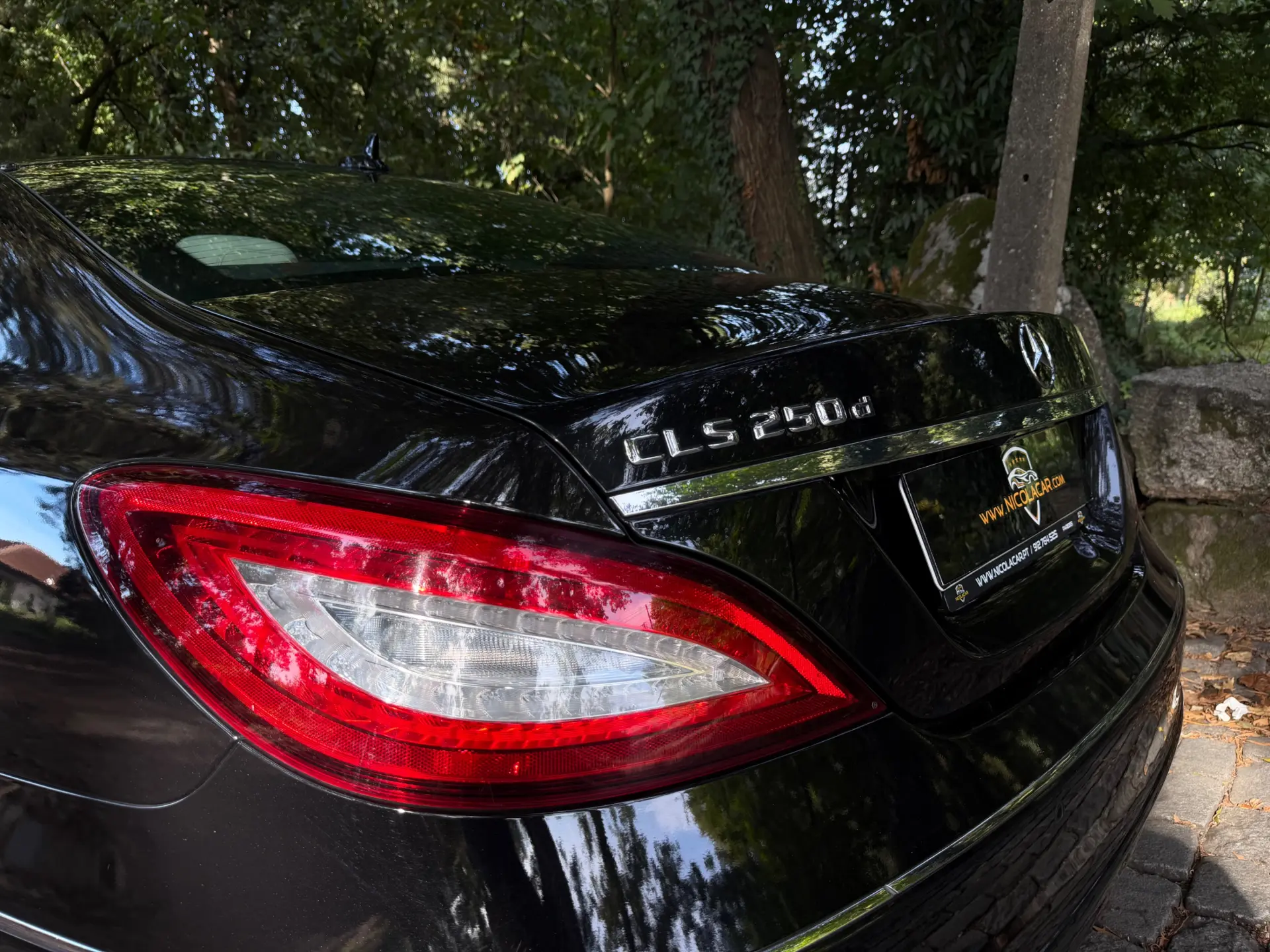 Mercedes-Benz CLS 250 CDi BlueEfficiency 11