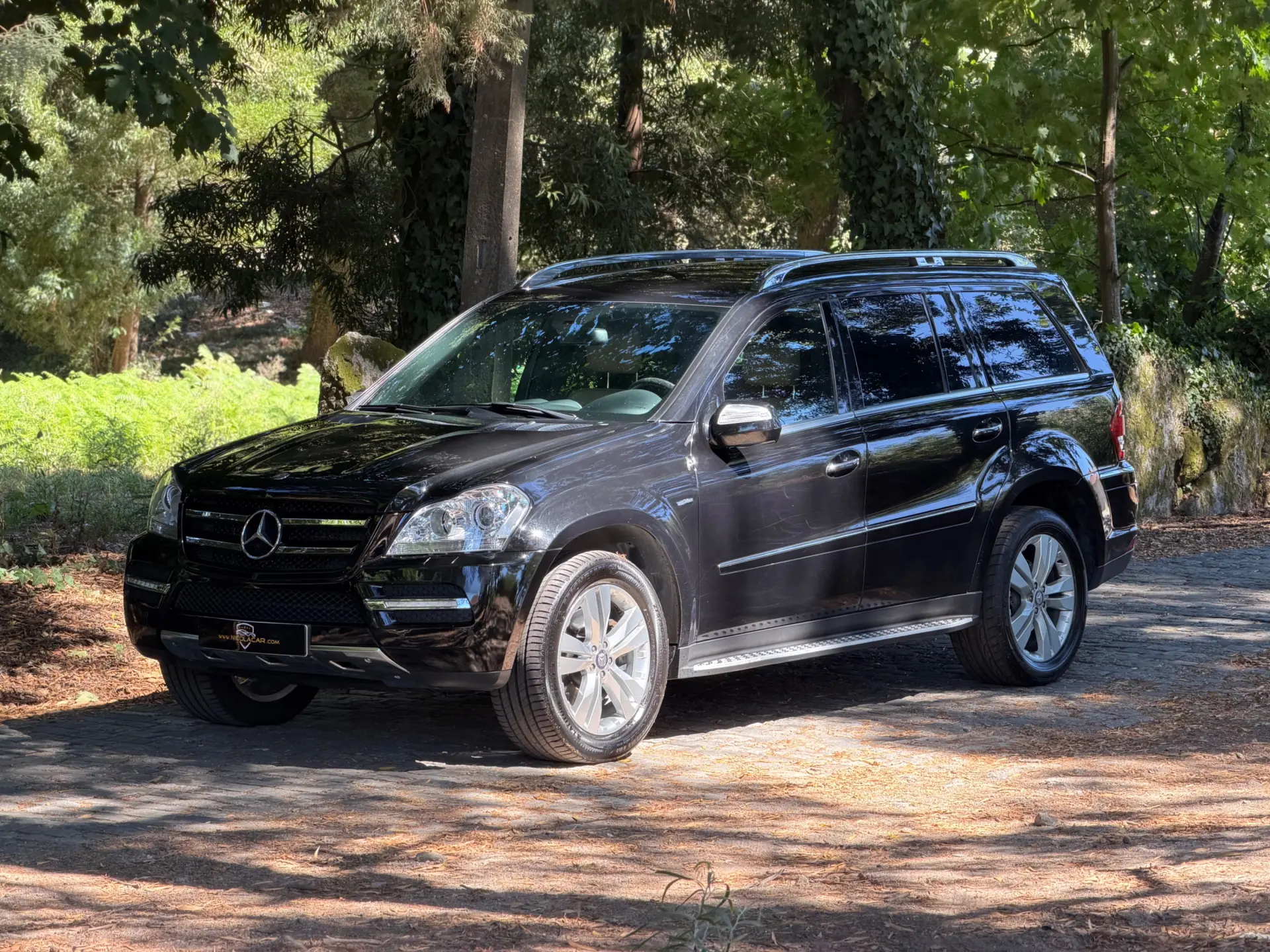 Mercedes-Benz GL 350 CDI BlueEfficiency 23