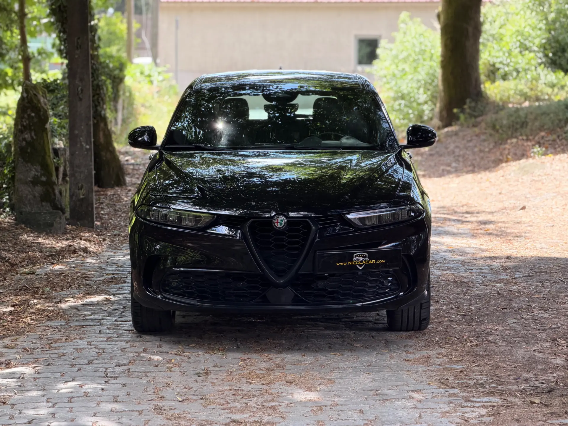 Alfa Romeo Tonale Sprint 3