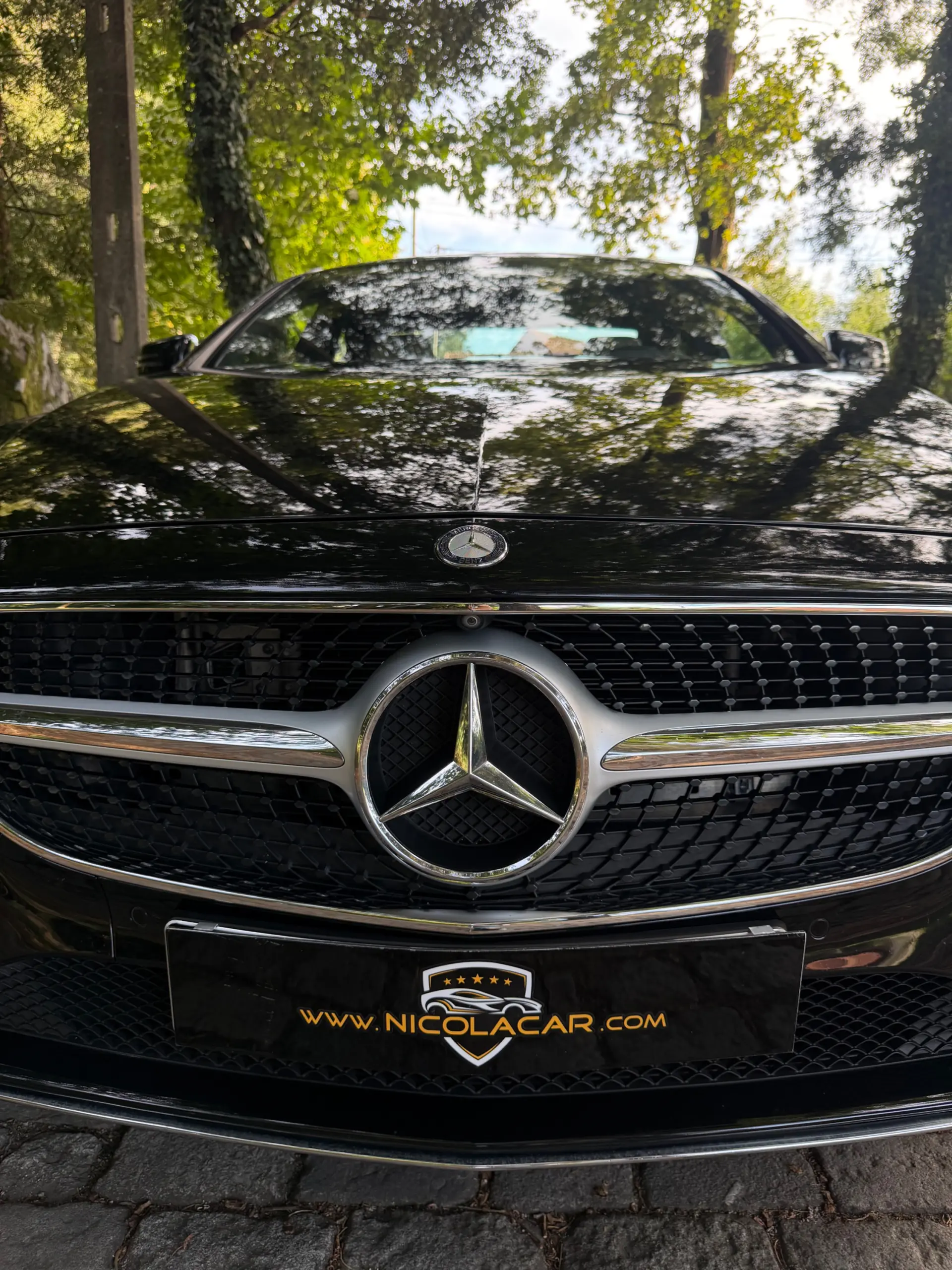 Mercedes-Benz CLS 250 CDi BlueEfficiency 15