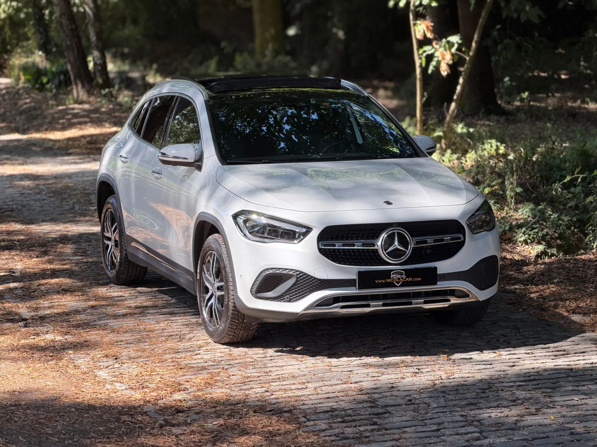 Mercedes-Benz GLA 250 e 8G-DCT Special Edition 58