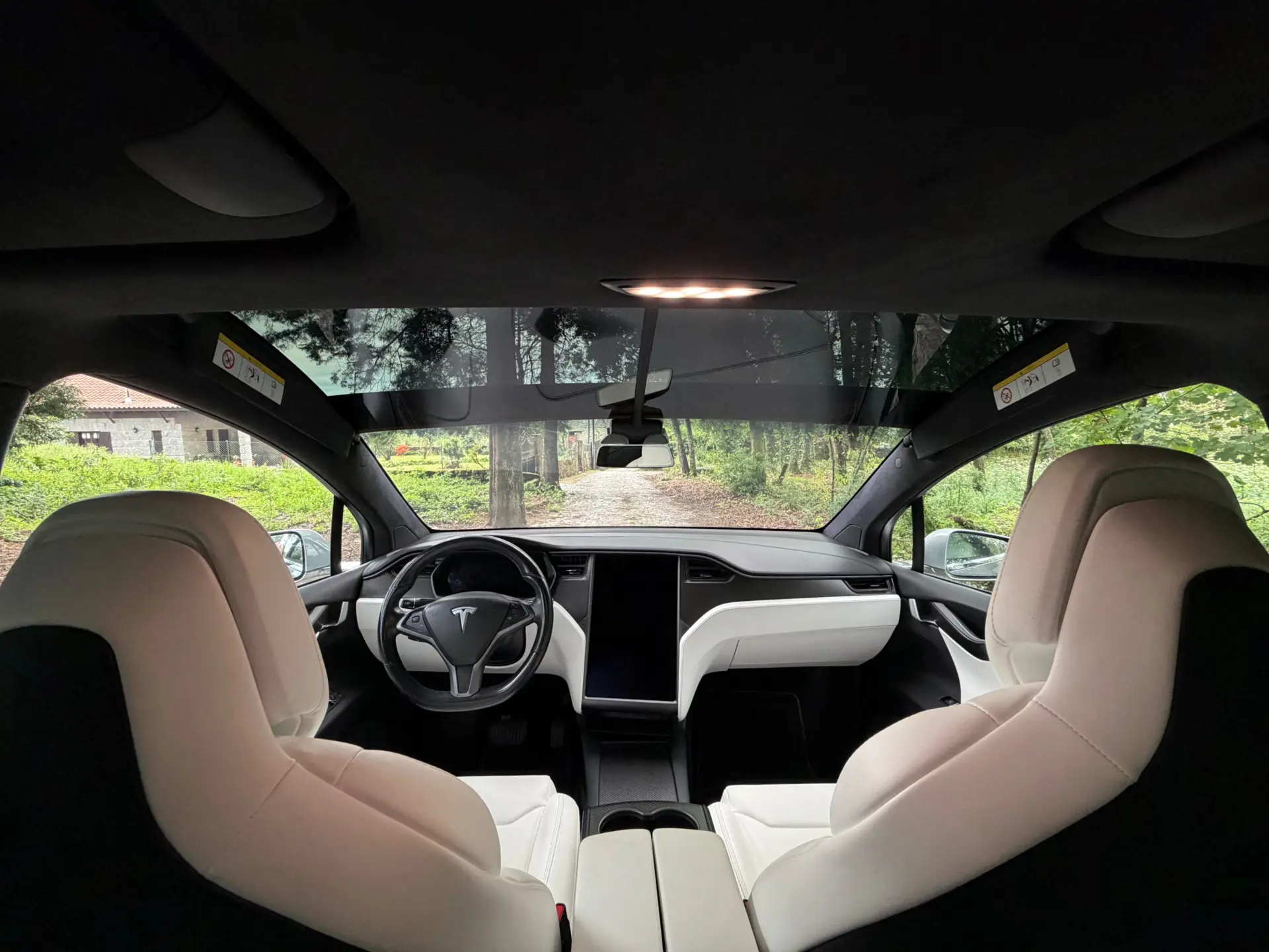 Tesla Model X 100D 42