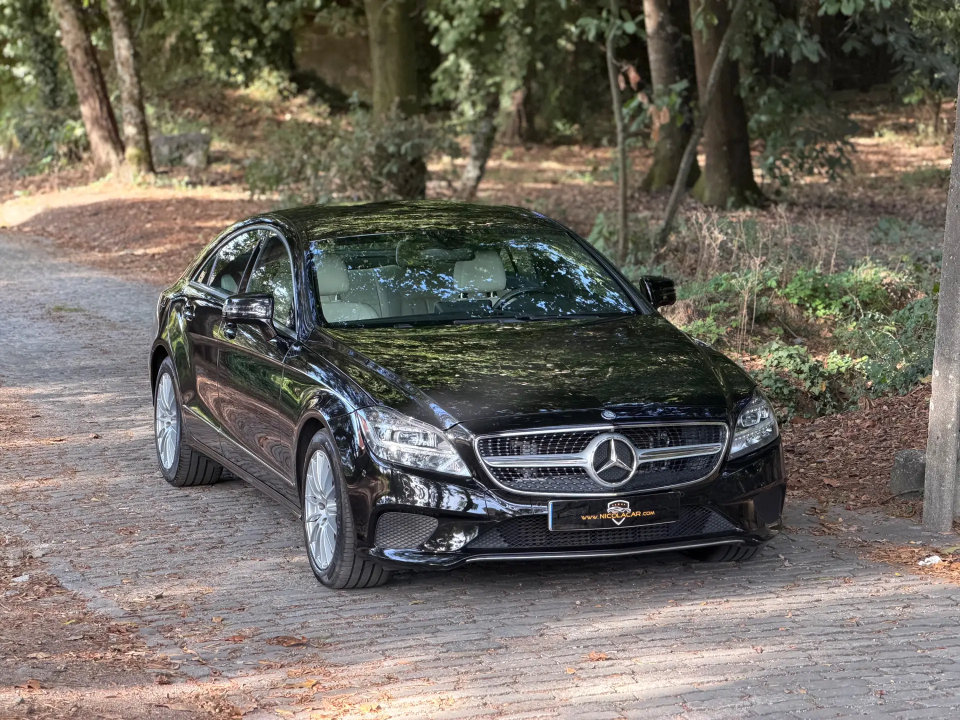 Mercedes-Benz CLS 250 CDi BlueEfficiency 2