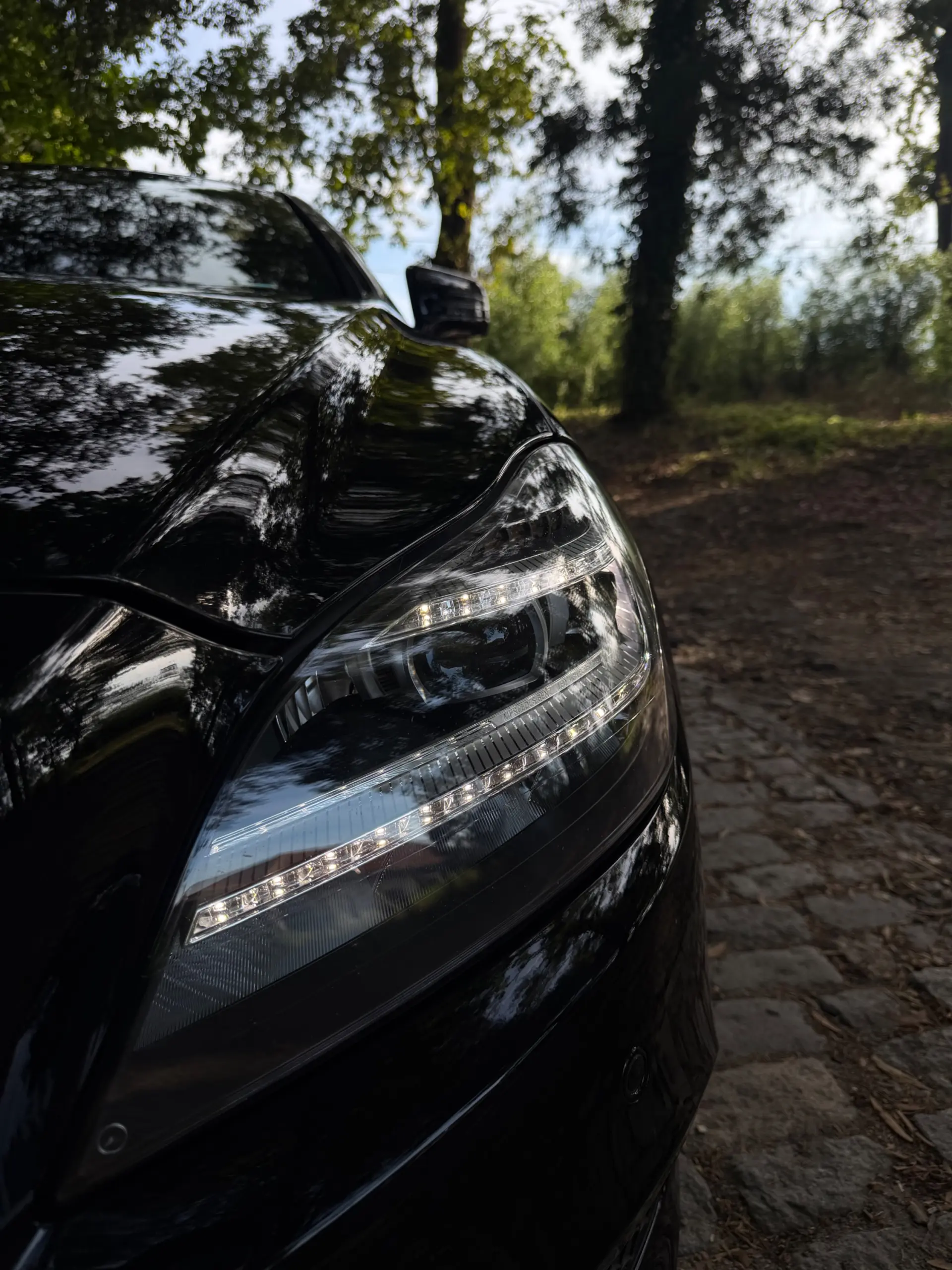 Mercedes-Benz CLS 250 CDi BlueEfficiency 13