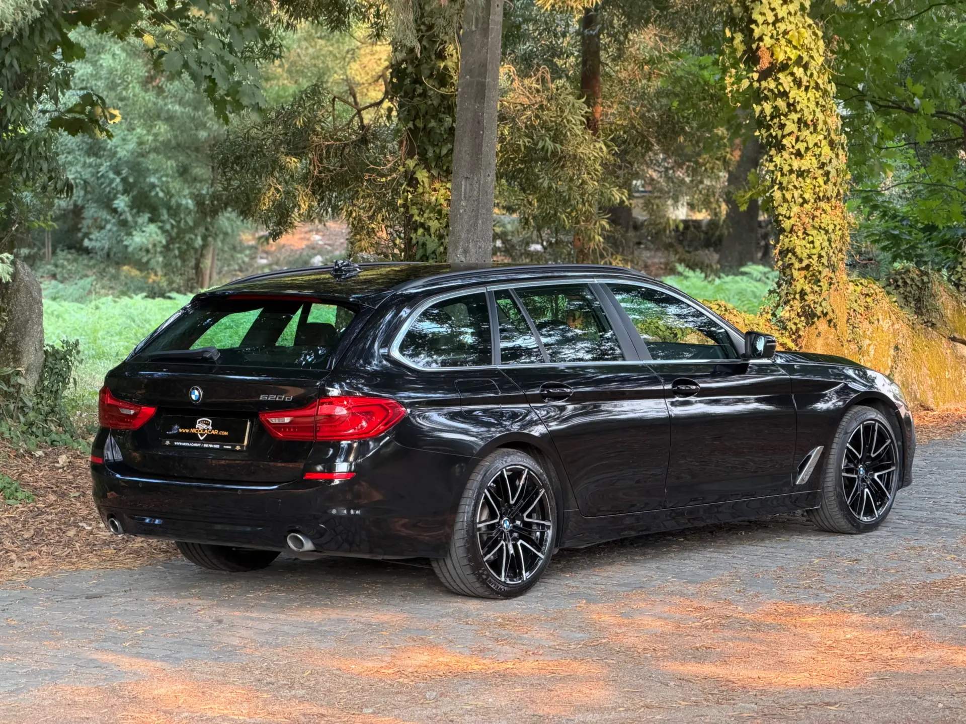 BMW 520 d Auto 48
