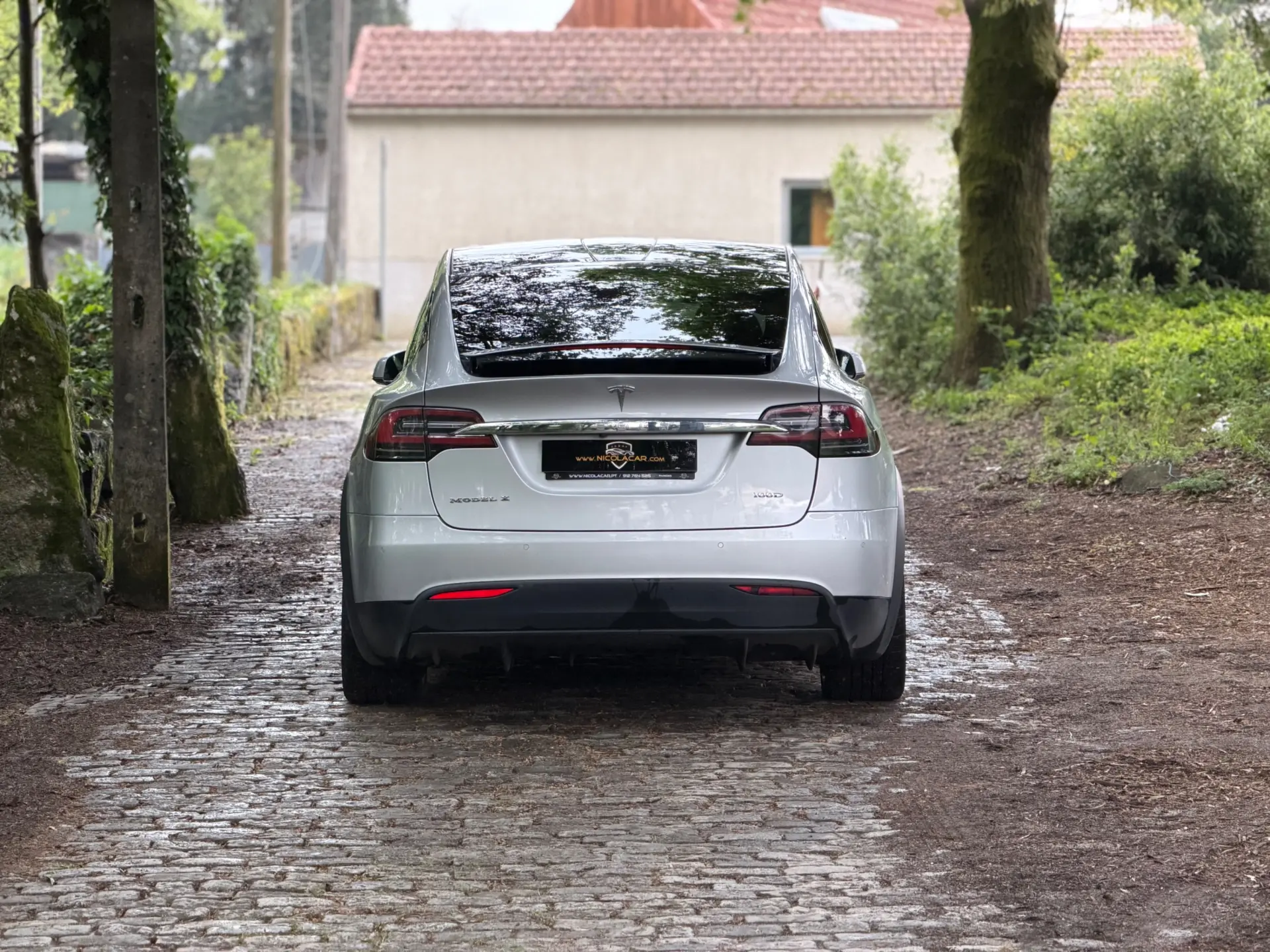 Tesla Model X 100D 22
