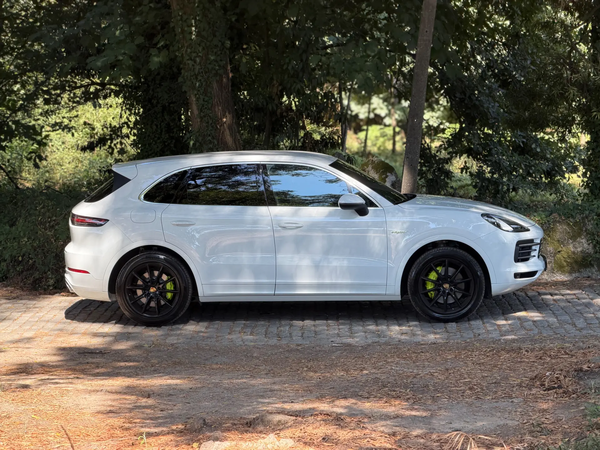 Porsche Cayenne E-Hybrid 64