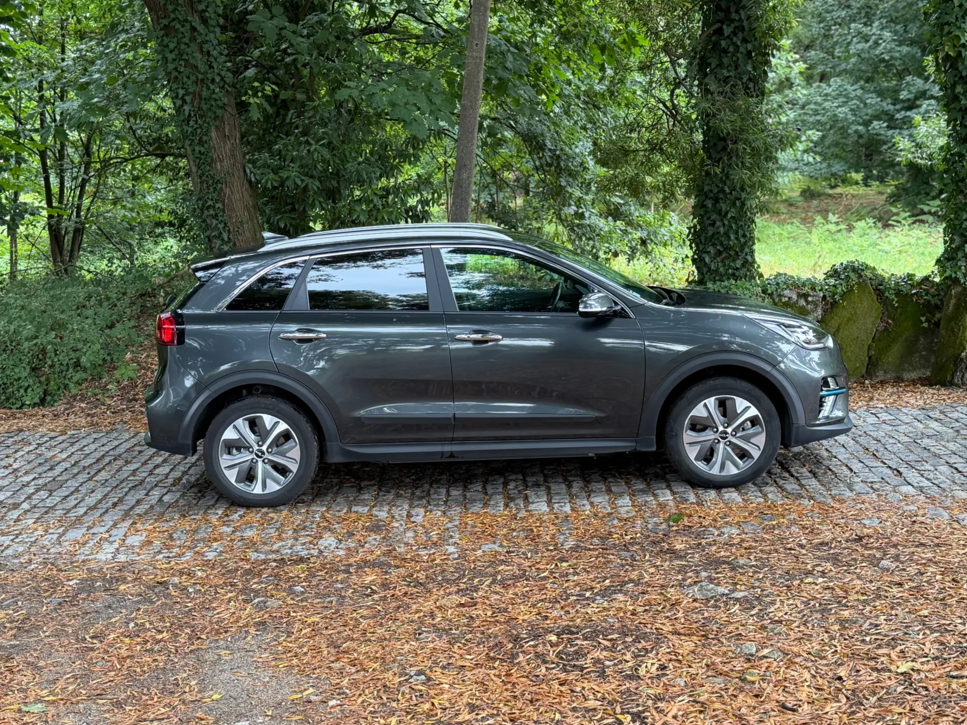 Kia e-Niro 64kWh 8