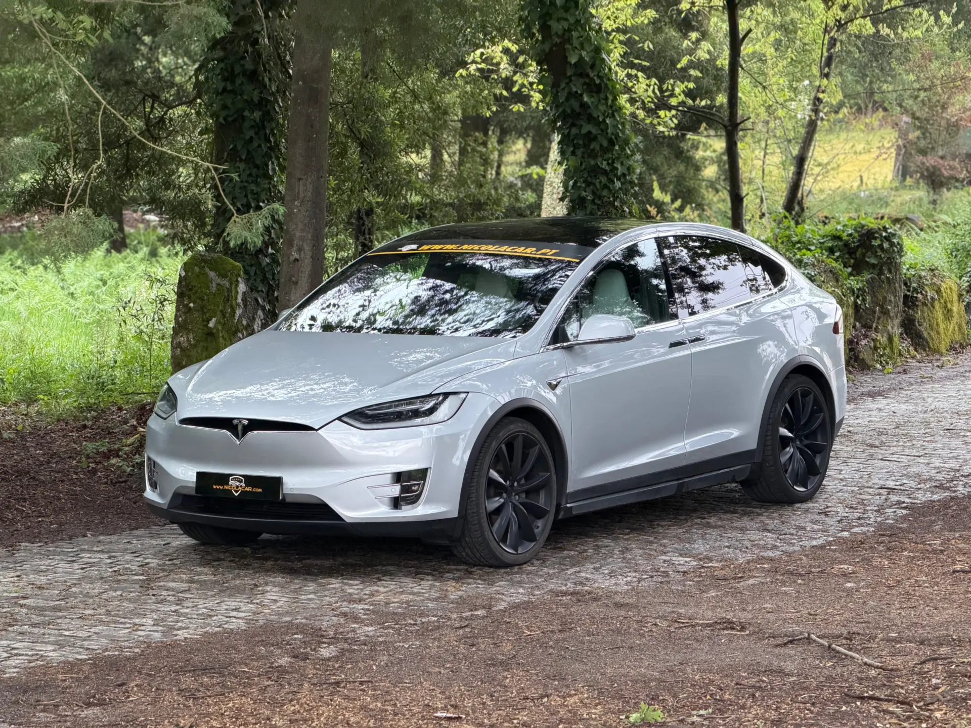Tesla Model X 100D 21