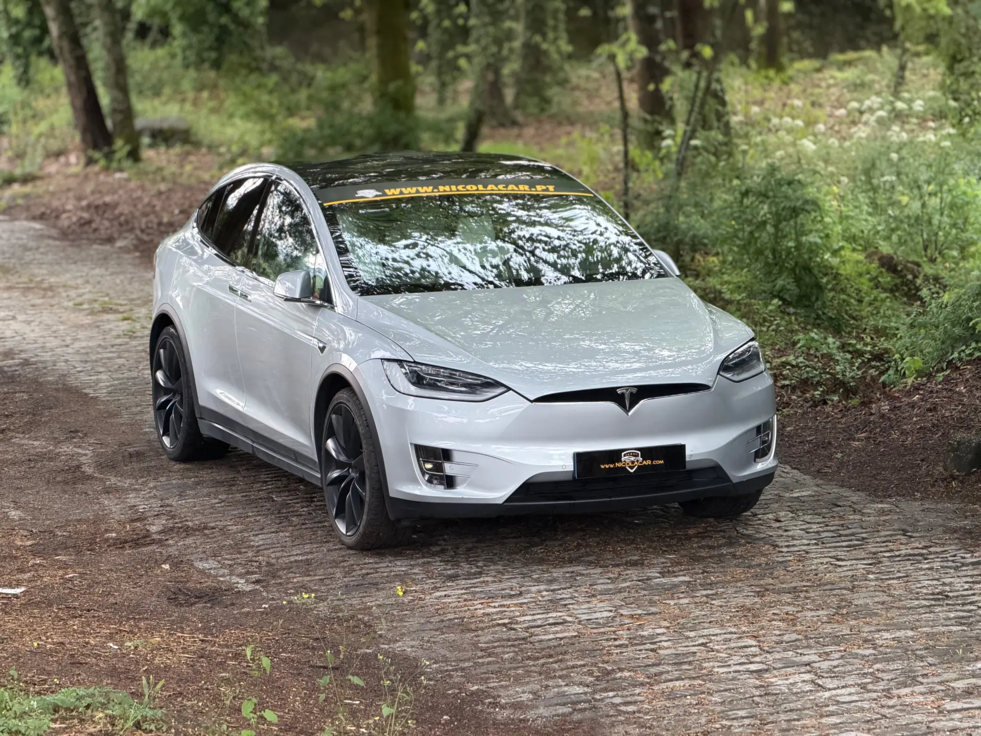Tesla Model X 100D 24