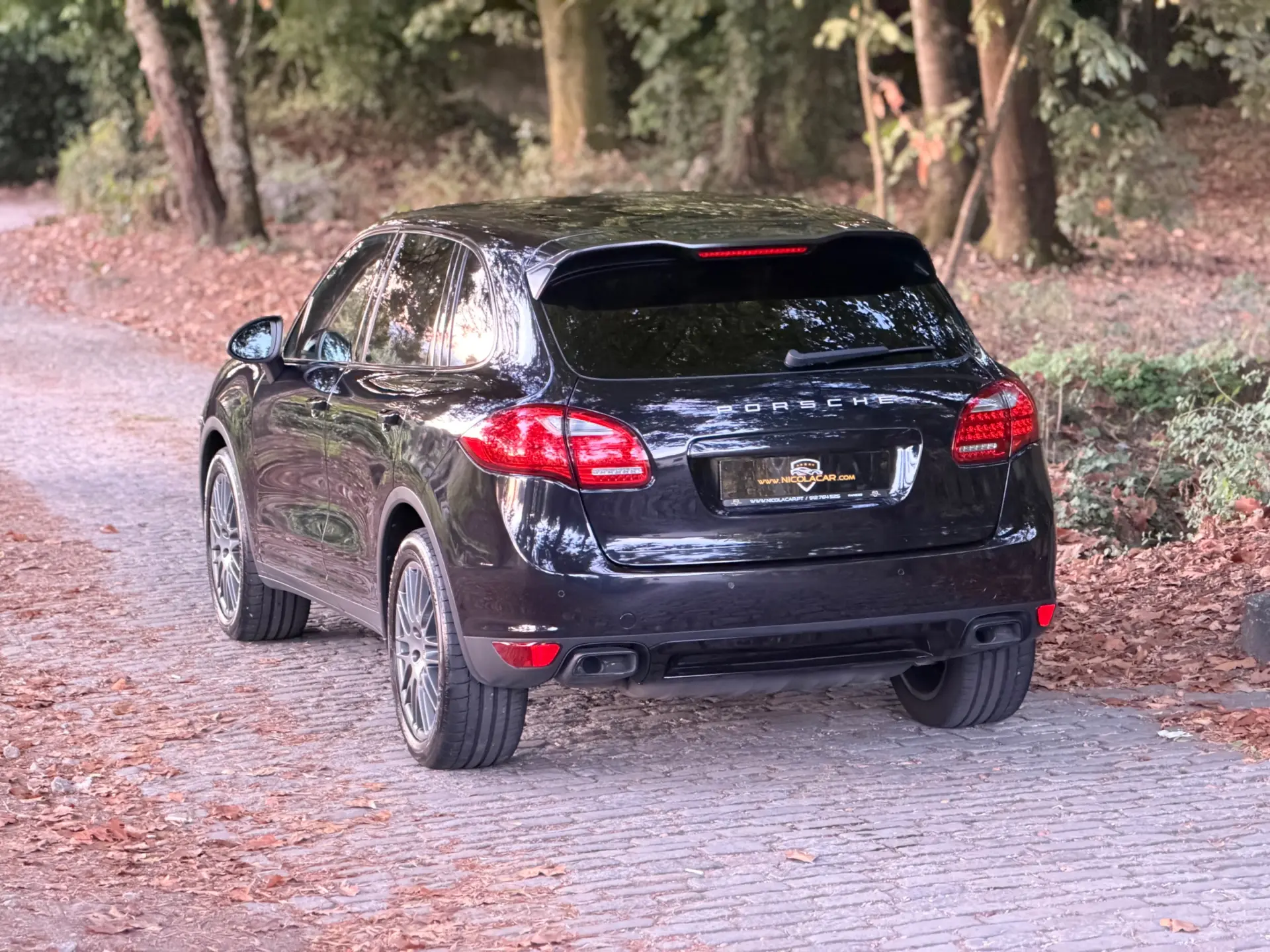 Porsche Cayenne Platinum Edition 5