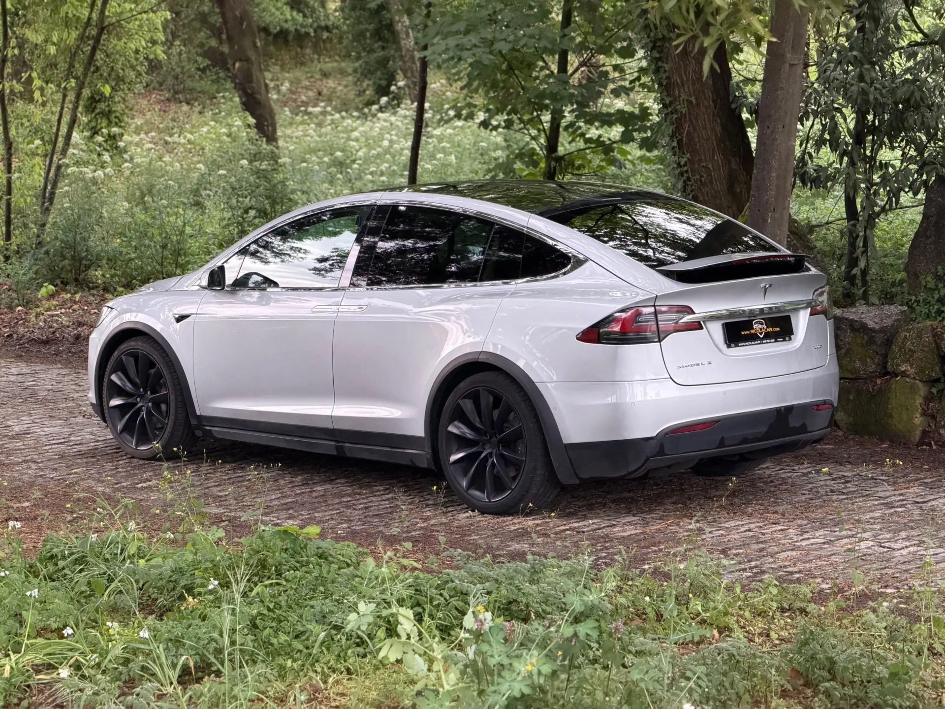 Tesla Model X 100D 5