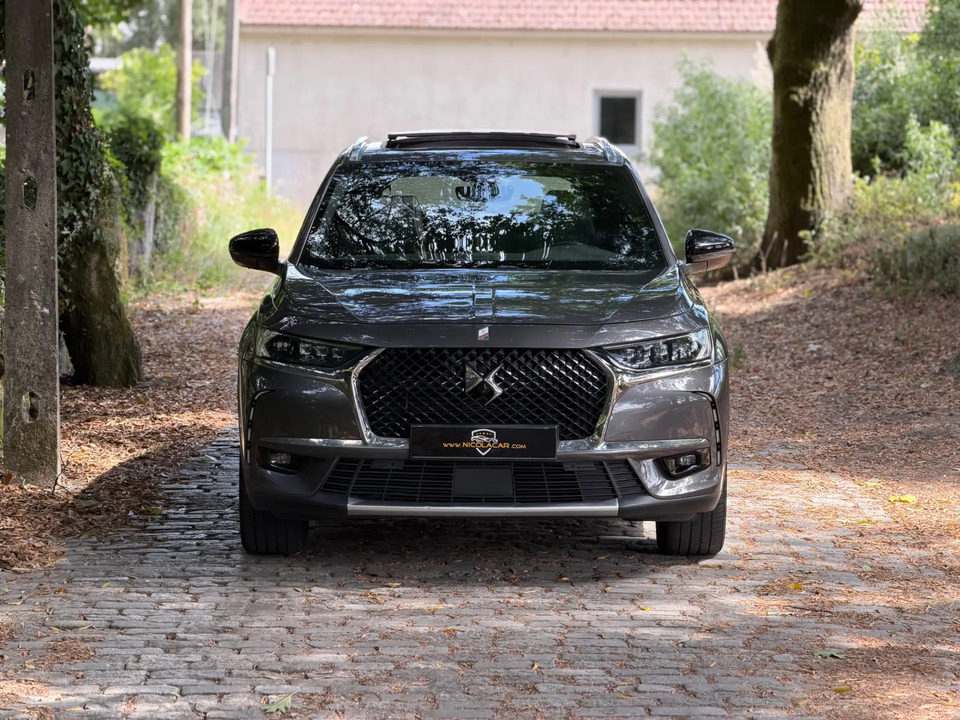 DS DS7 Crossback E-Tense Rivoli EAT8 44