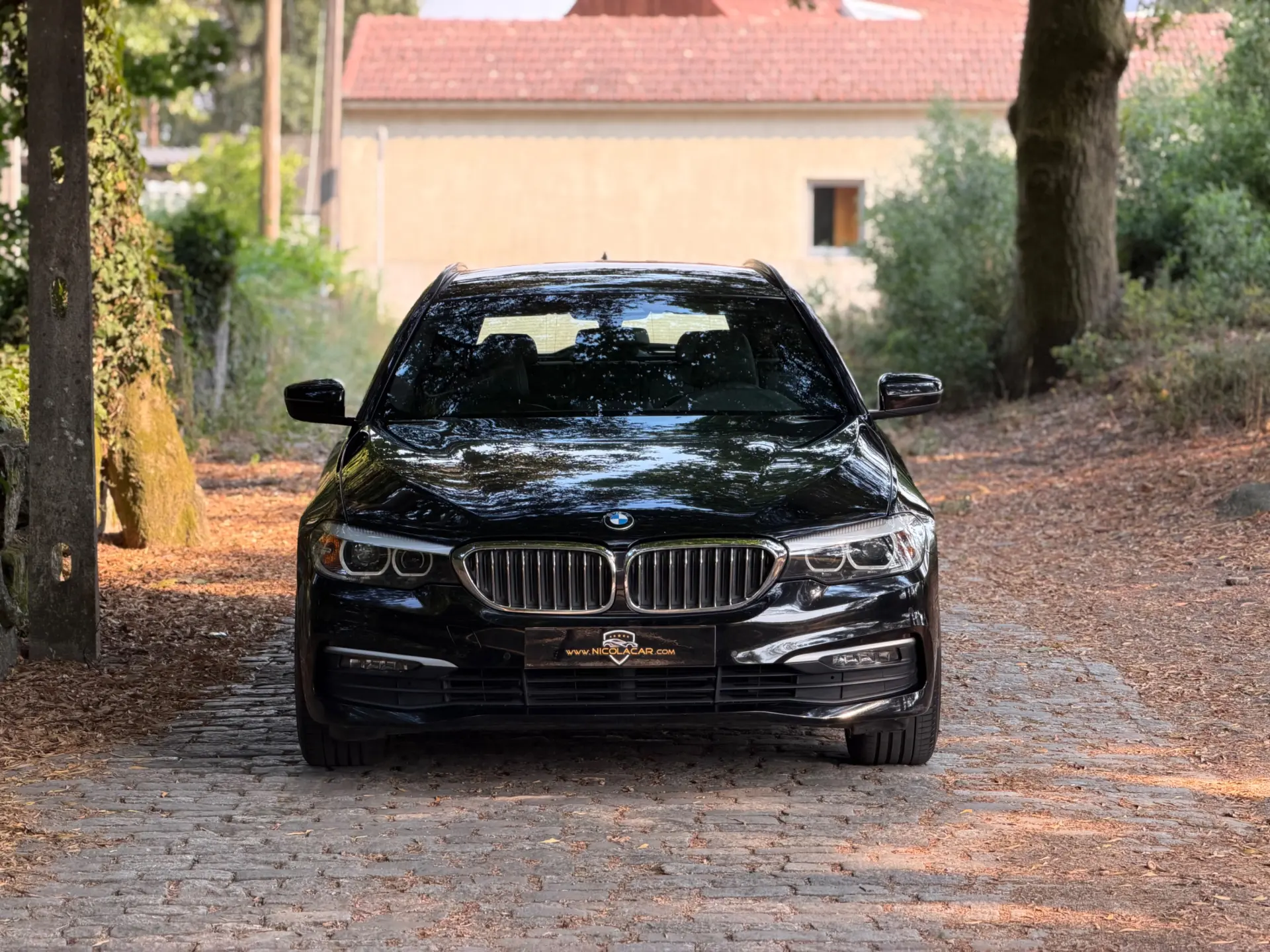 BMW 520 d Auto 44
