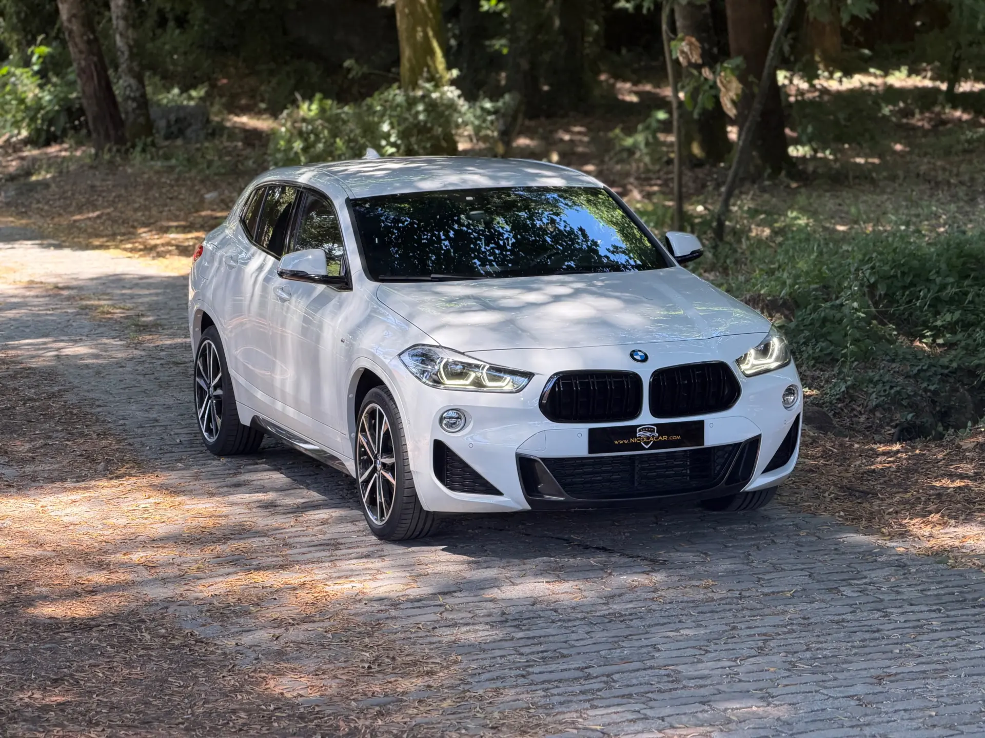 BMW X2 16 d sDrive Auto X Pack M 2