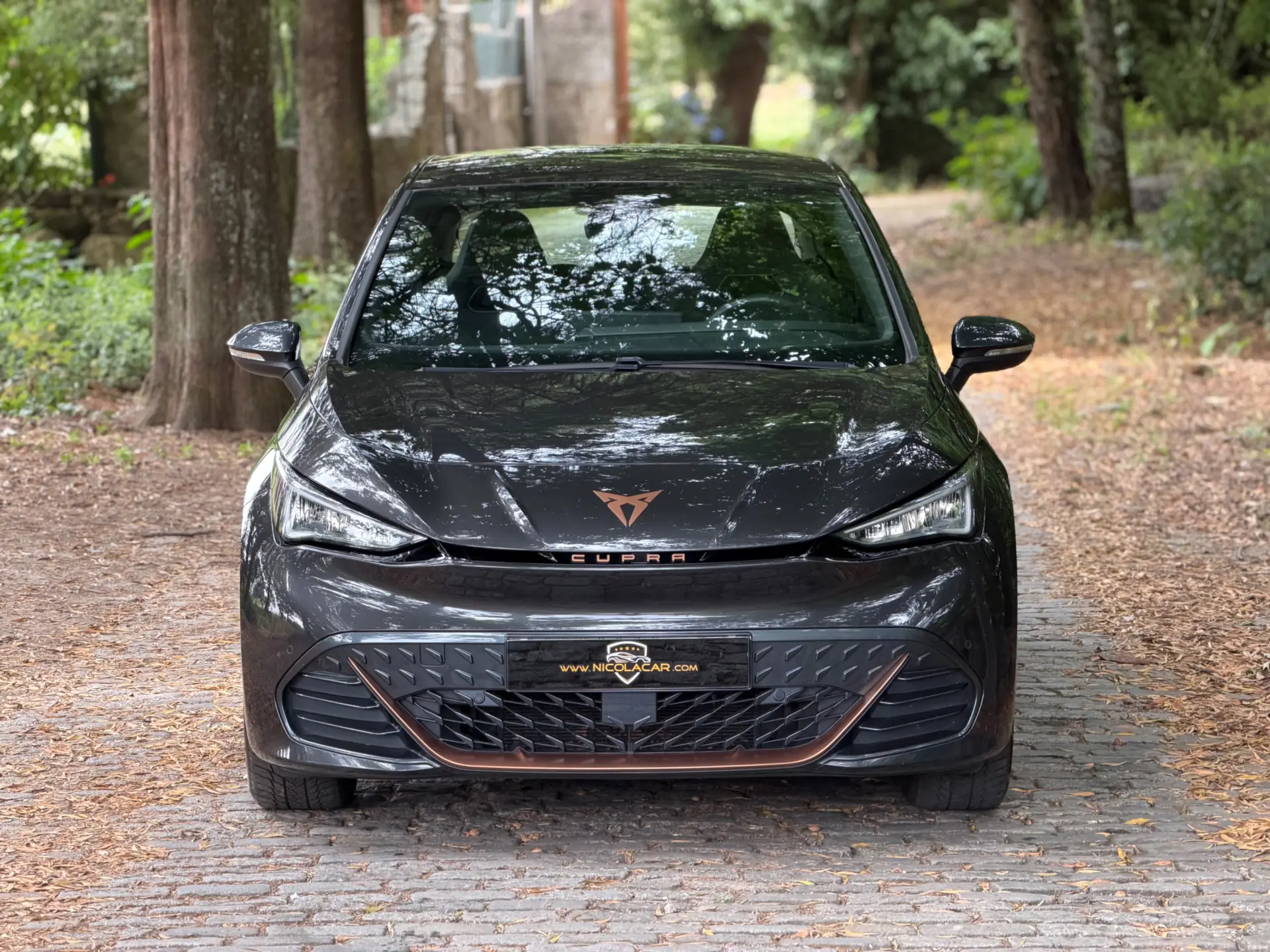 Cupra Born 58 kWh 3