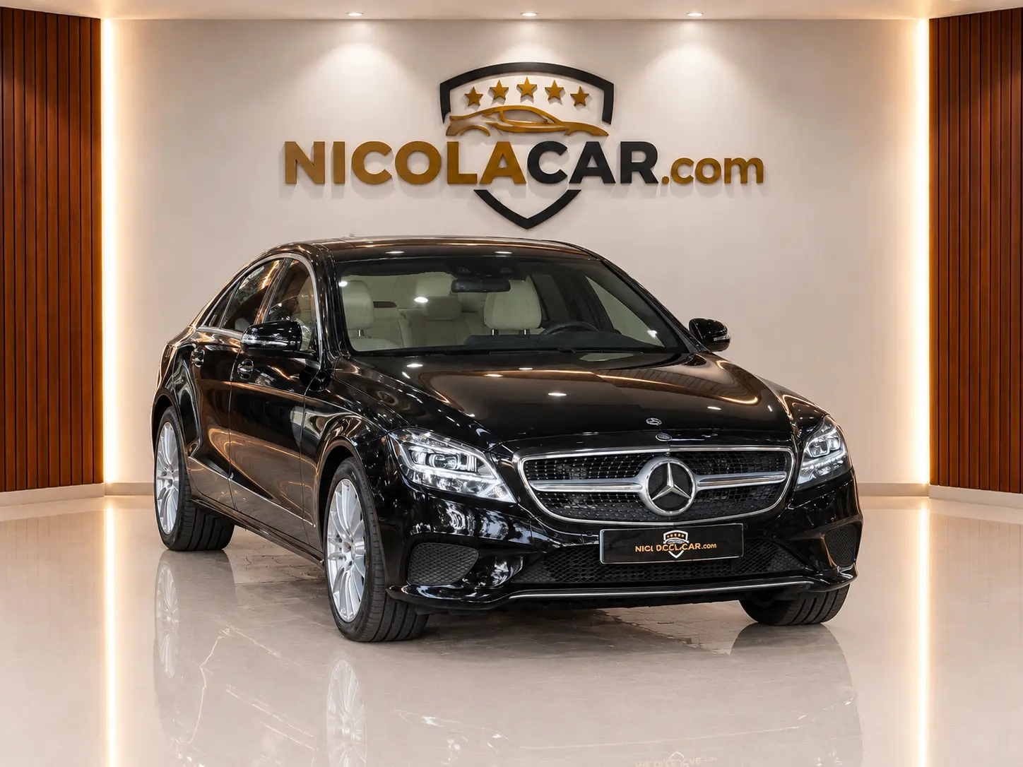 Mercedes-Benz CLS 250 CDi BlueEfficiency 1
