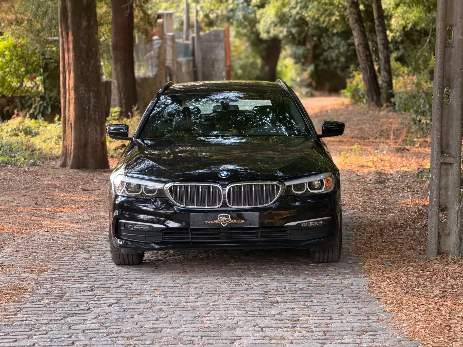 BMW 520 d Auto 49
