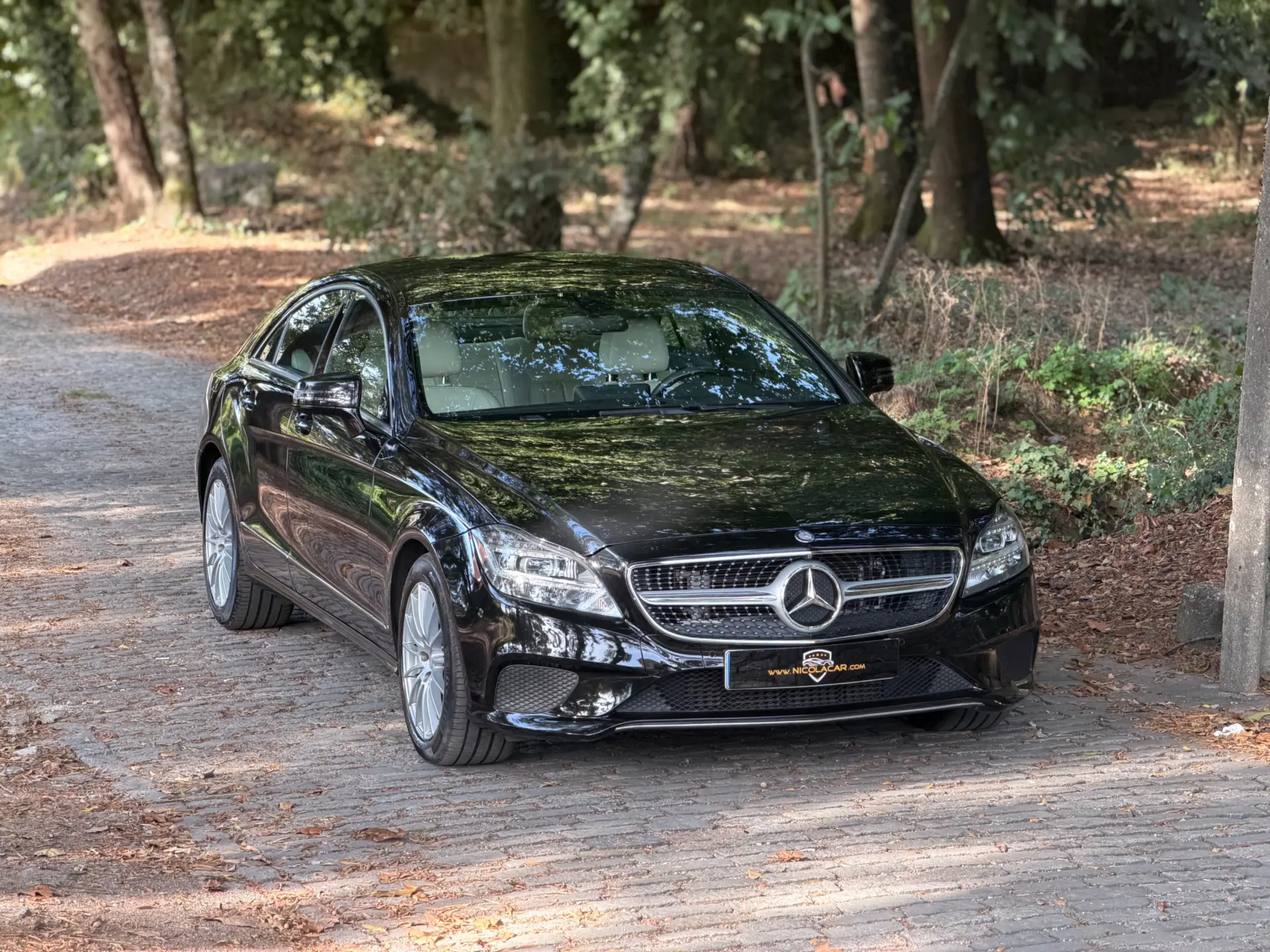 Mercedes-Benz CLS 250 CDi BlueEfficiency 52