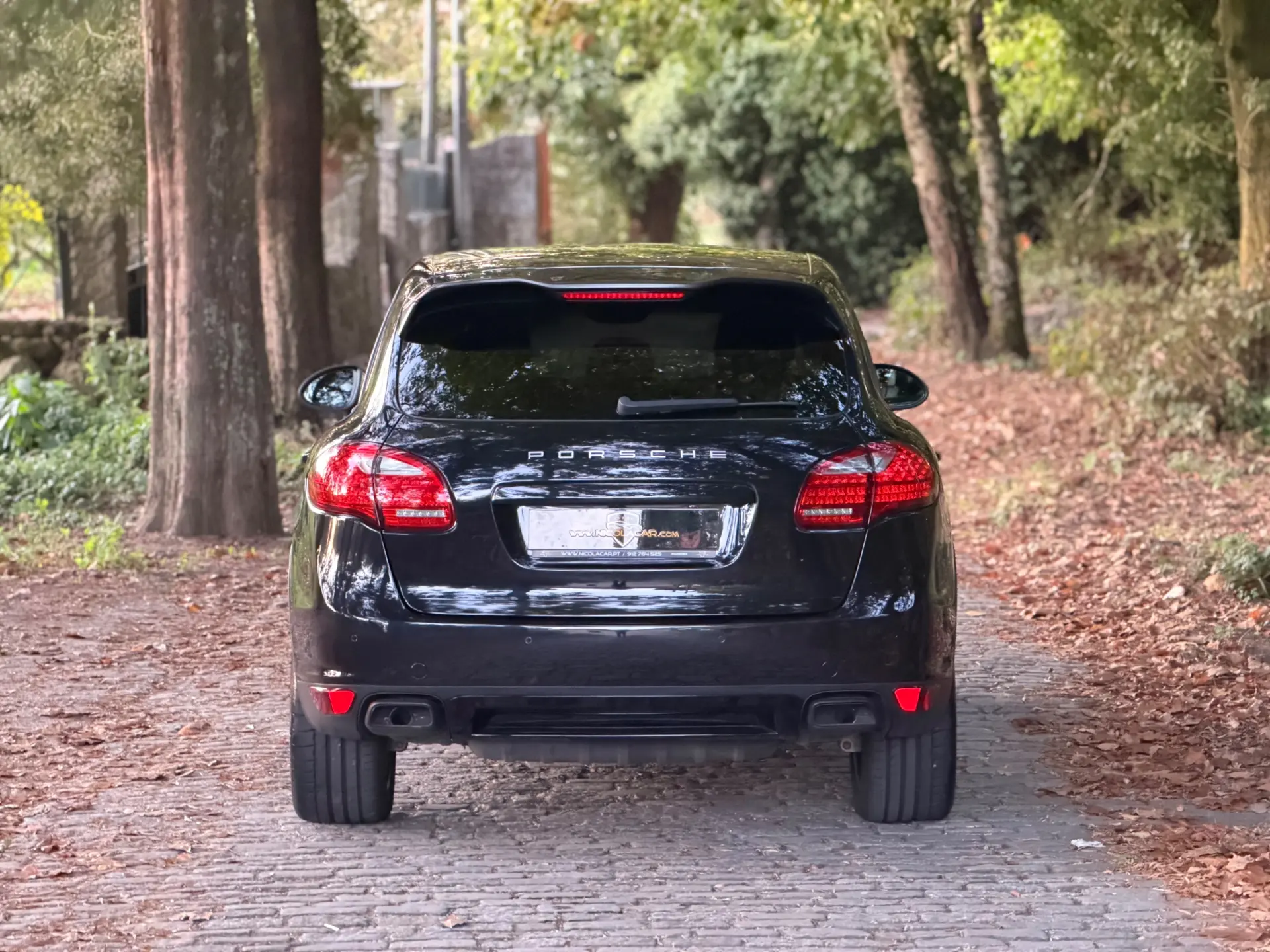 Porsche Cayenne Platinum Edition 35