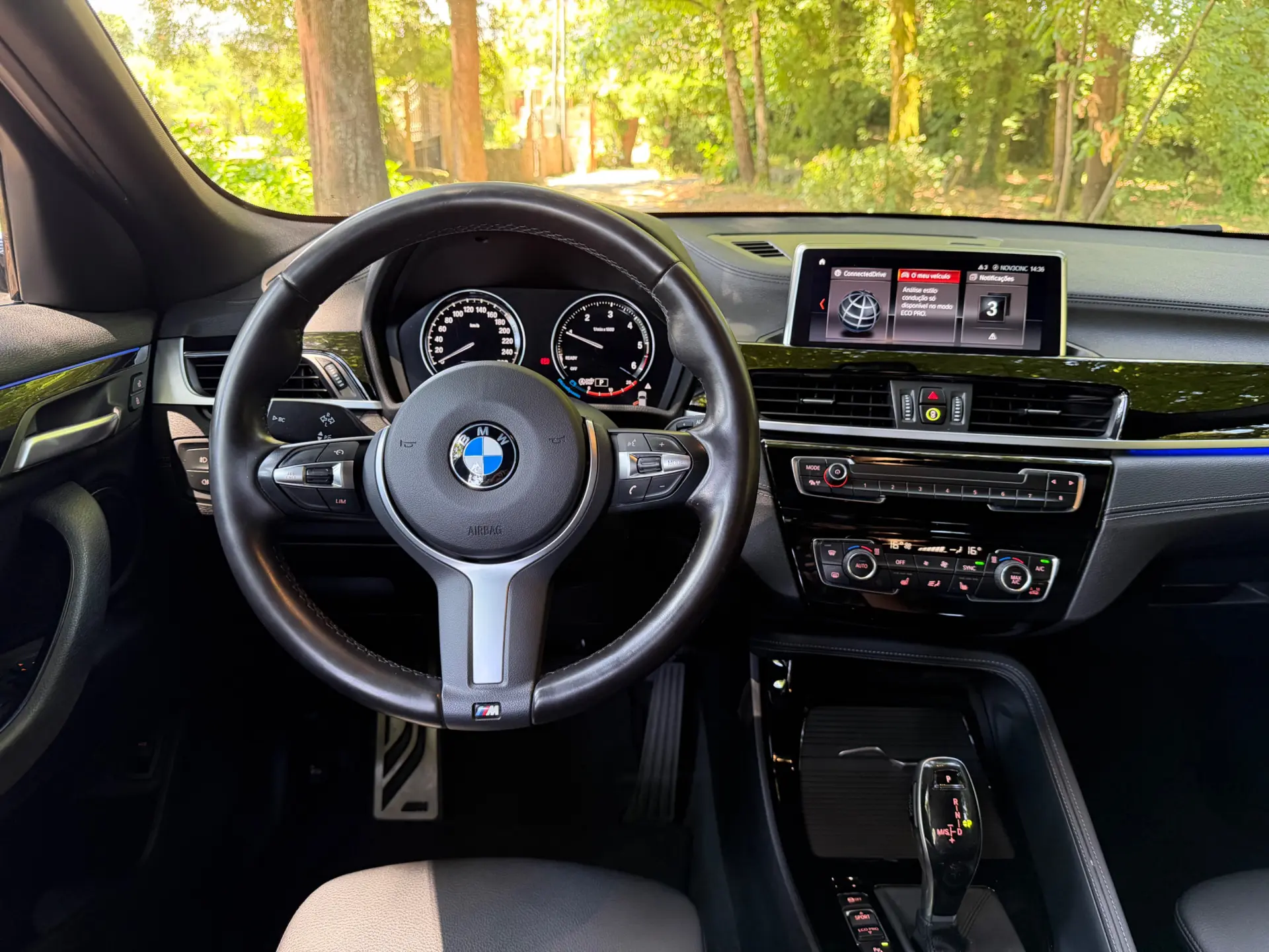 BMW X2 16 d sDrive Auto X Pack M 19