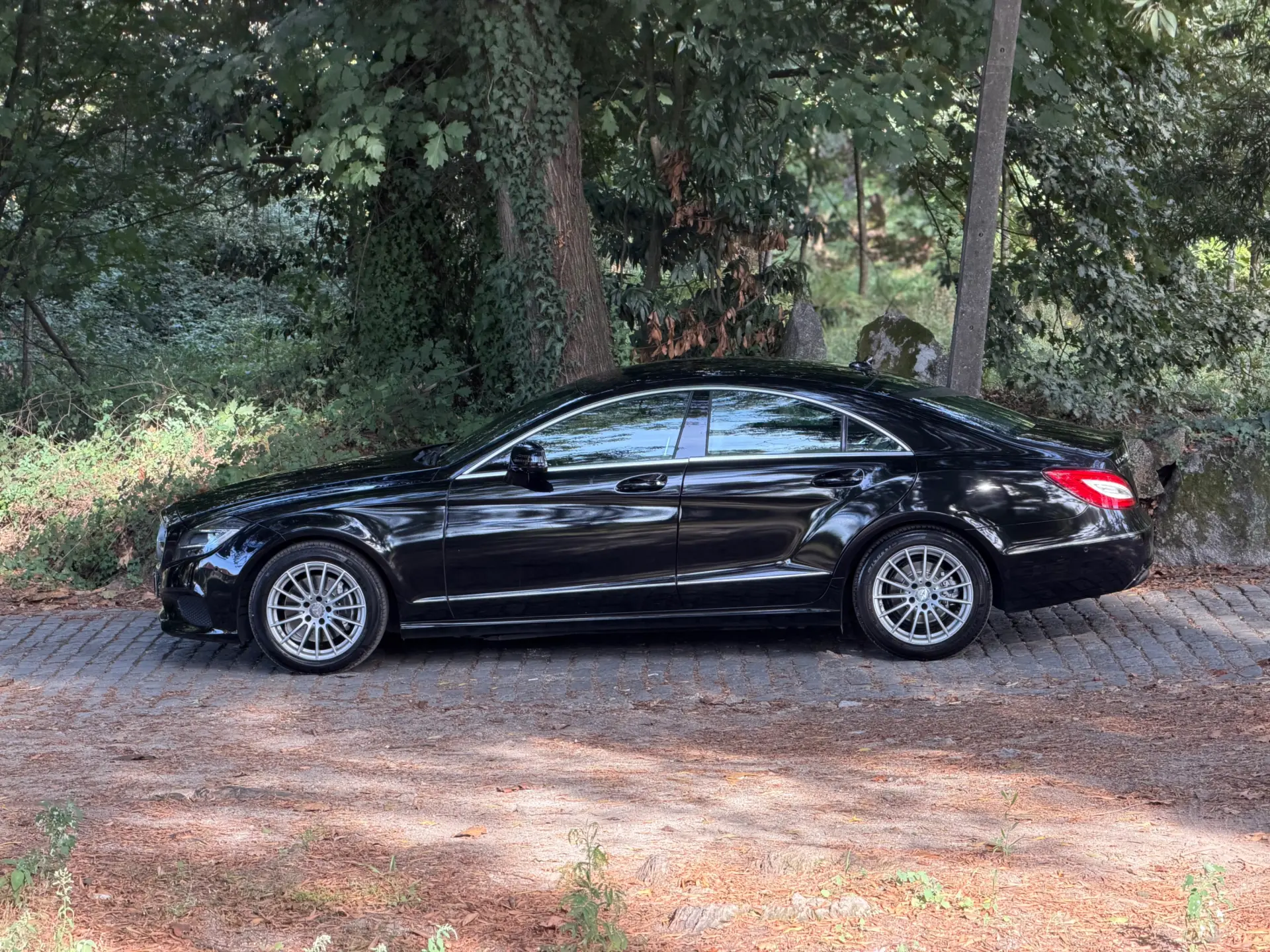 Mercedes-Benz CLS 250 CDi BlueEfficiency 55