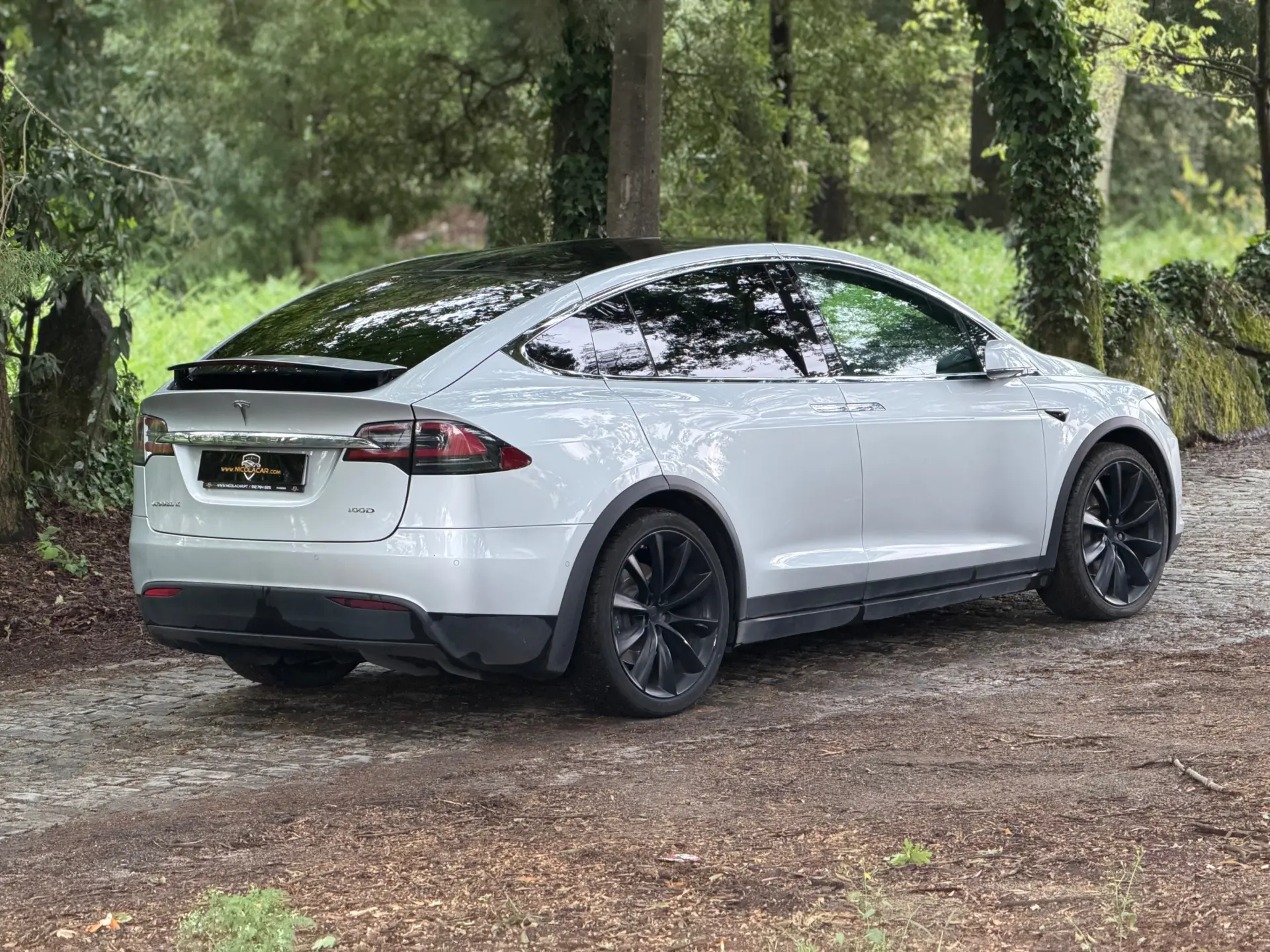 Tesla Model X 100D 7