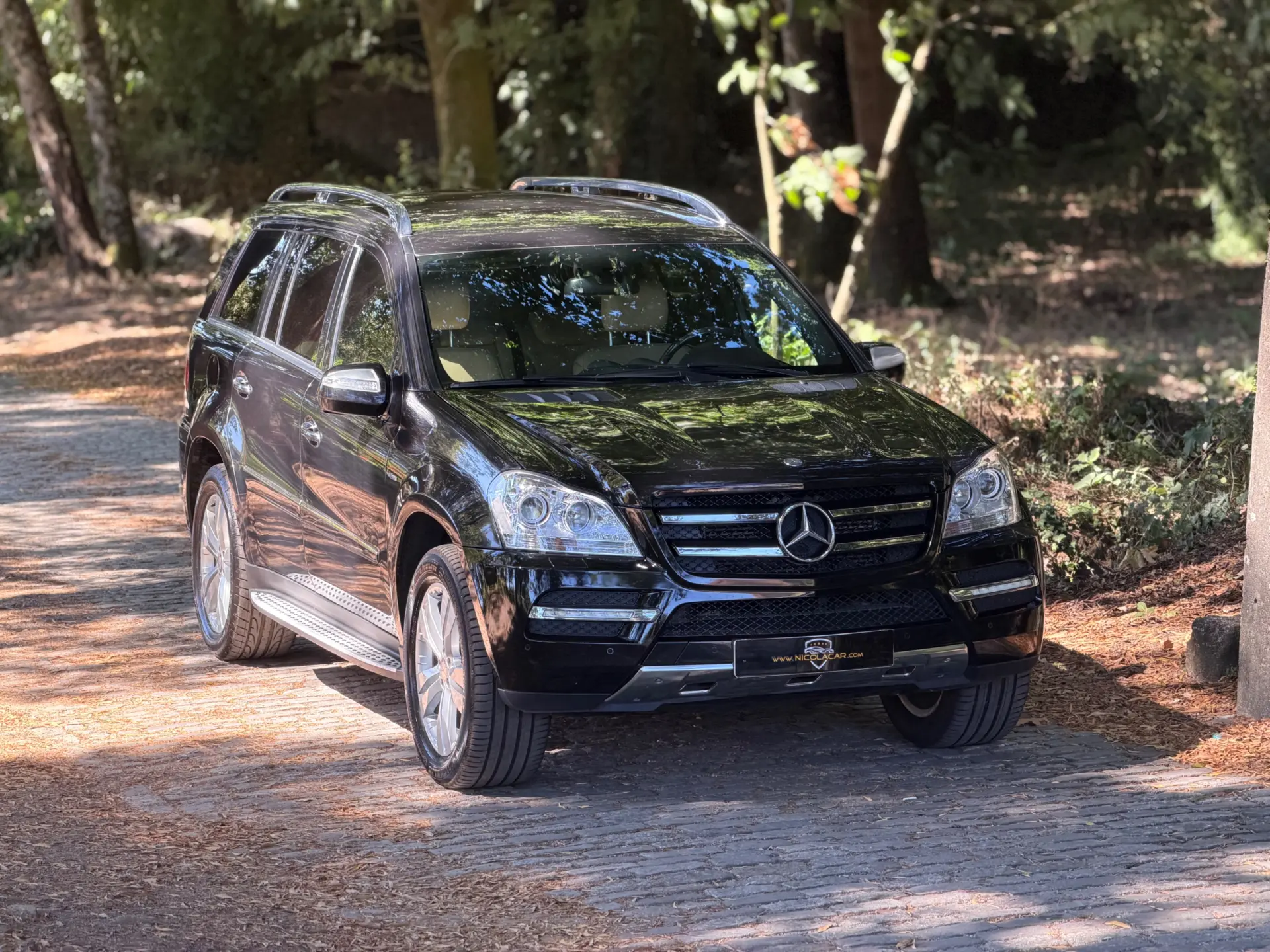 Mercedes-Benz GL 350 CDI BlueEfficiency 19