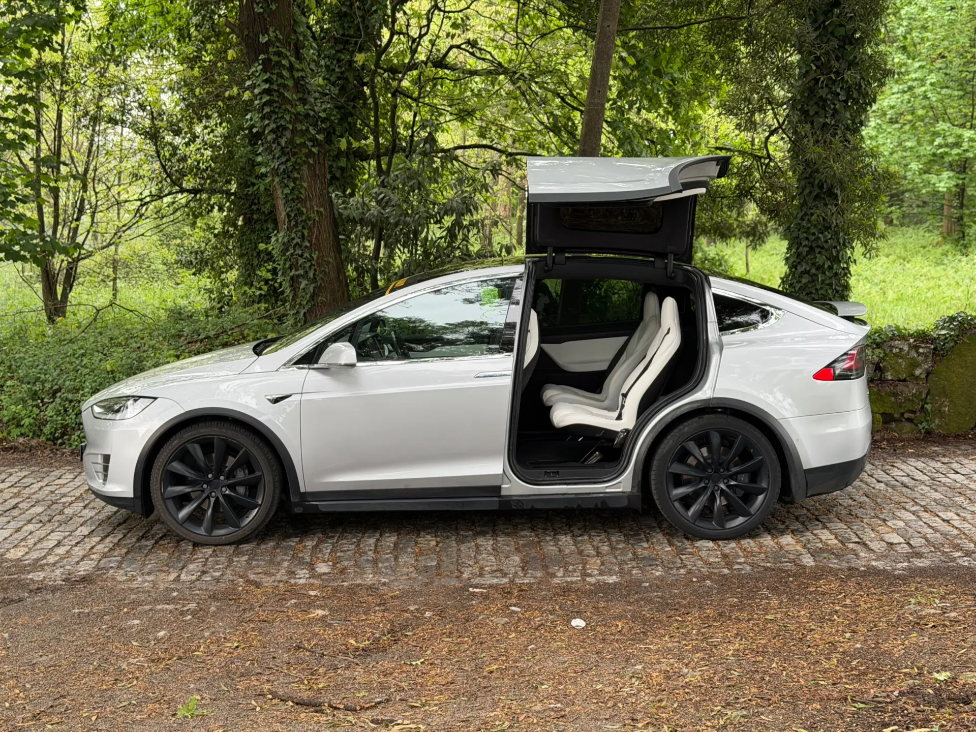 Tesla Model X 100D 38