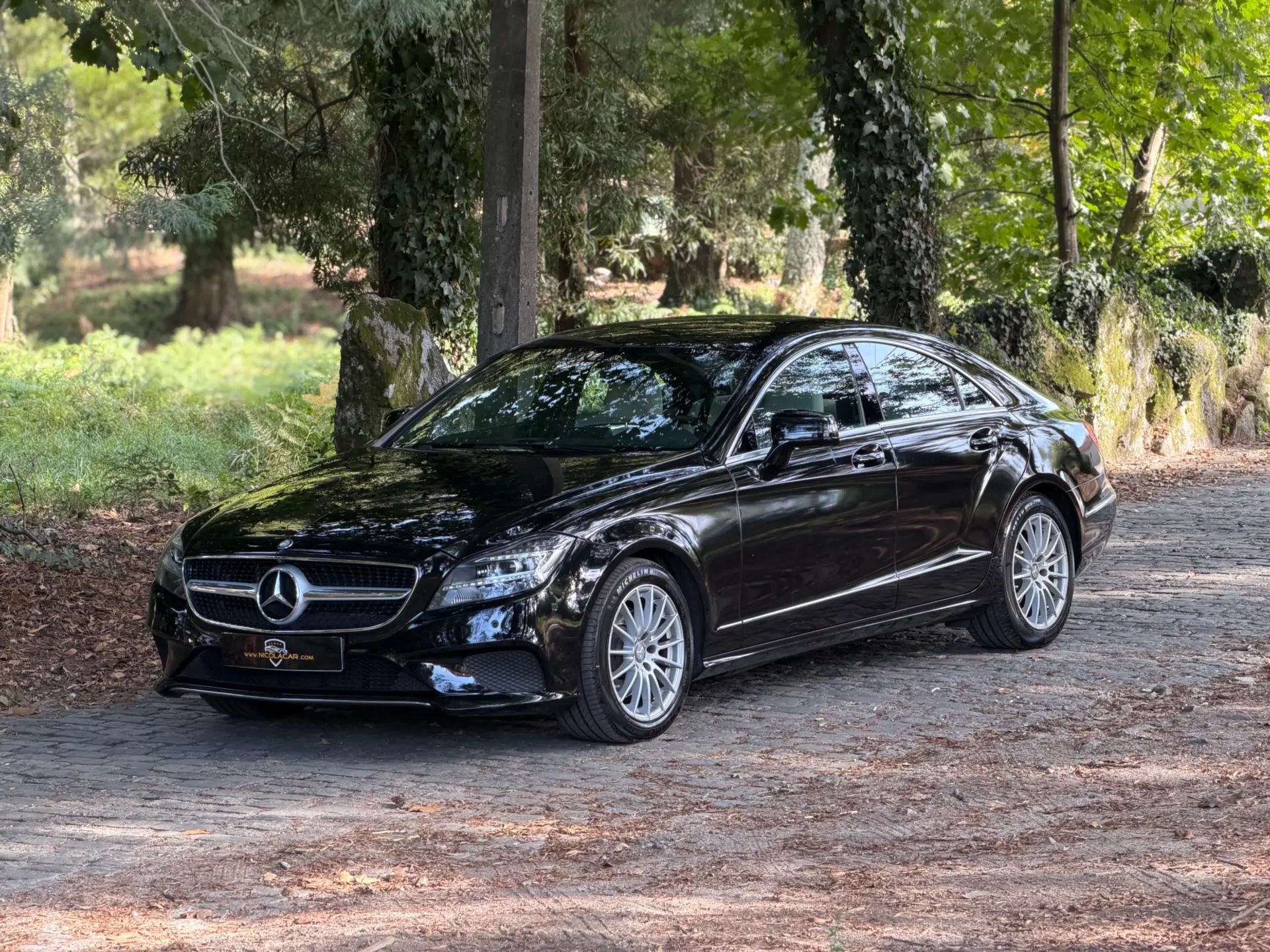 Mercedes-Benz CLS 250 CDi BlueEfficiency 50
