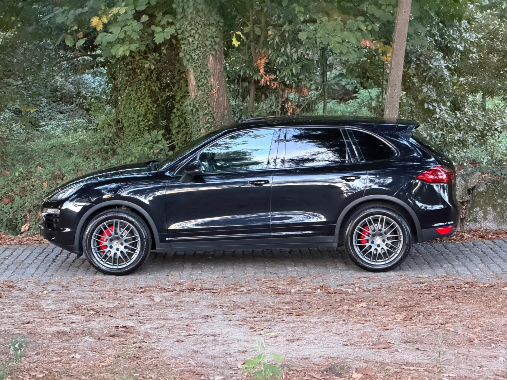 Porsche Cayenne Platinum Edition 9