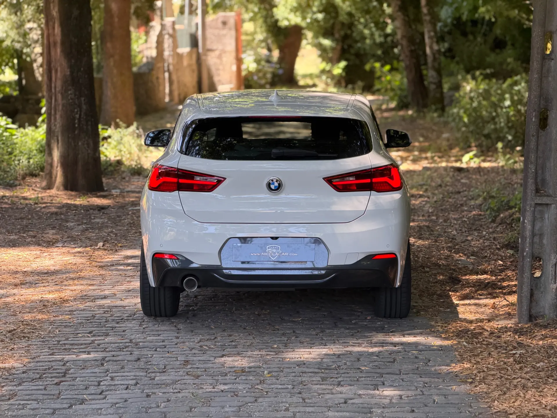 BMW X2 16 d sDrive Auto X Pack M 50