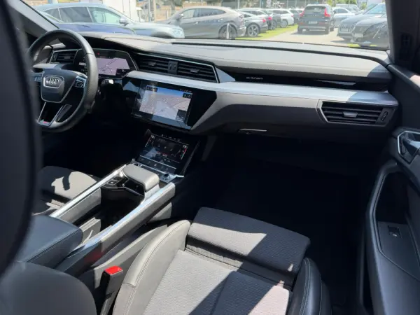 Audi e-tron Sportback 55 quattro S line 19