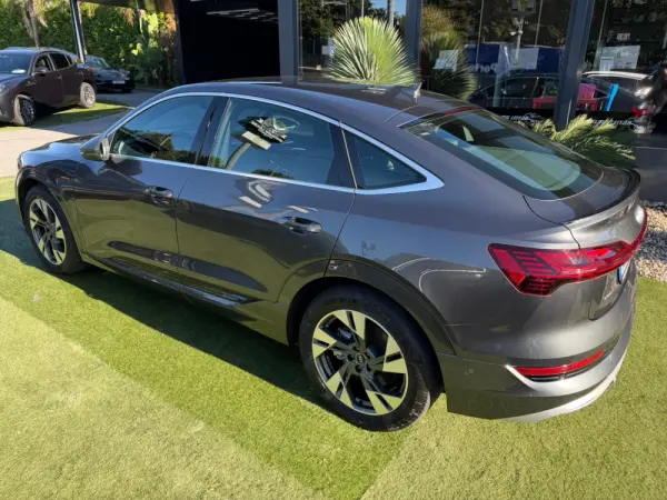 Audi e-tron Sportback 55 quattro S line 14