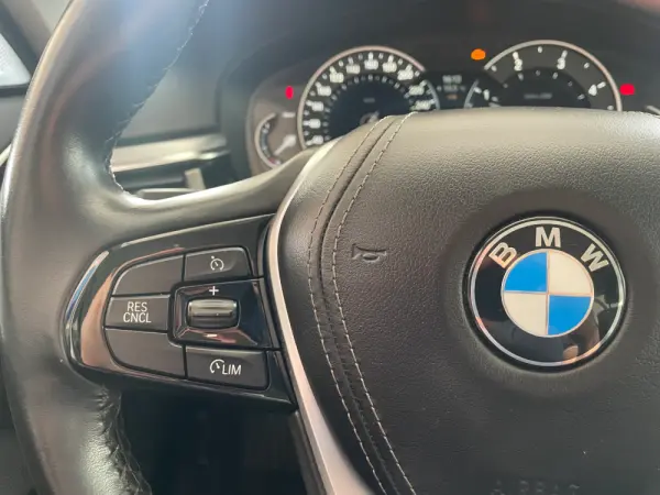 BMW 530 d Line Sport Auto 21