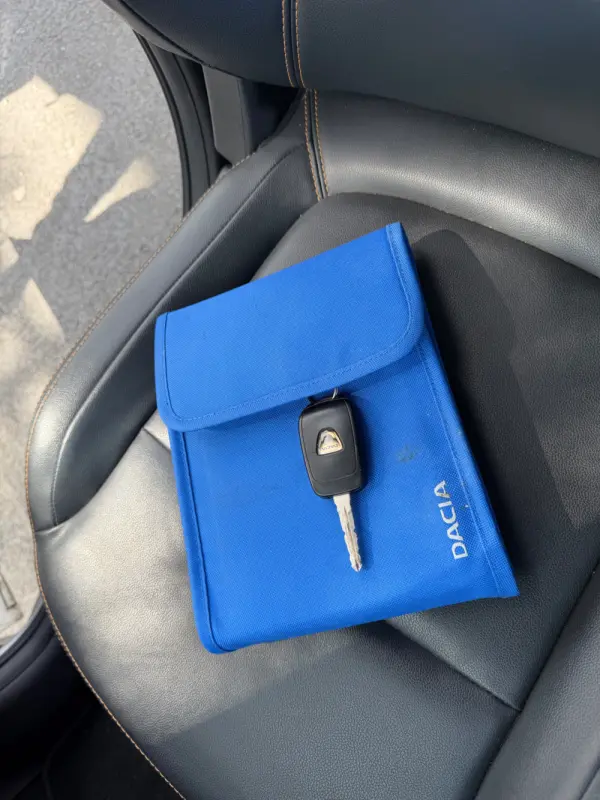 Dacia Spring Electric 45 Expression 12
