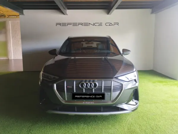 Audi e-tron 55 quattro S line 3