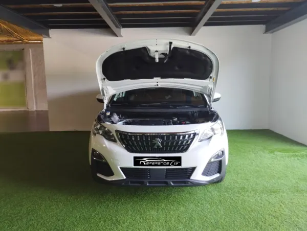 Peugeot 3008 1.5 BlueHDi Active 22