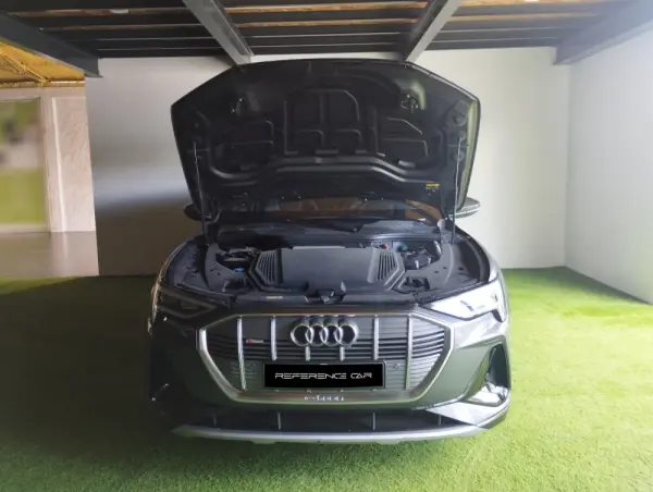 Audi e-tron 55 quattro S line 24