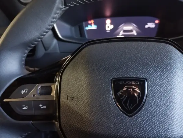 Peugeot 2008 e-2008 50 kWh Allure 17