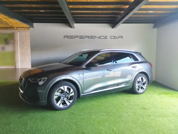 Audi e-tron 55 quattro S line 6