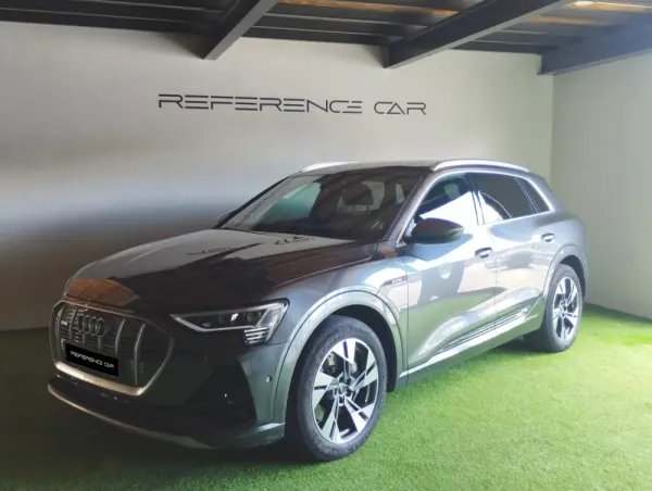 Audi e-tron 55 quattro S line 26