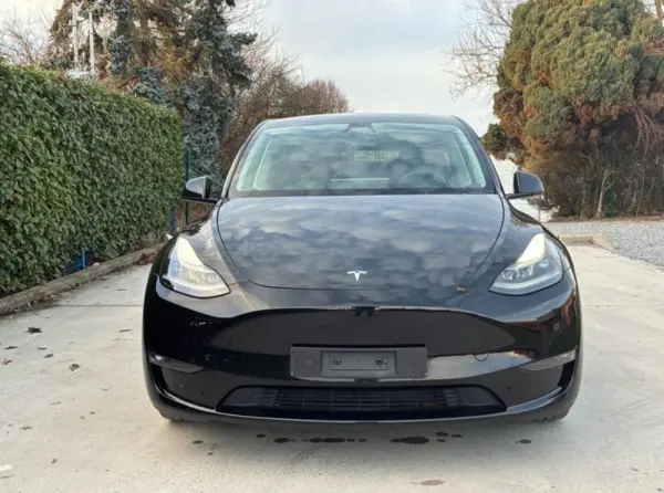 Tesla Model Y Performance Dual Motor AWD 2